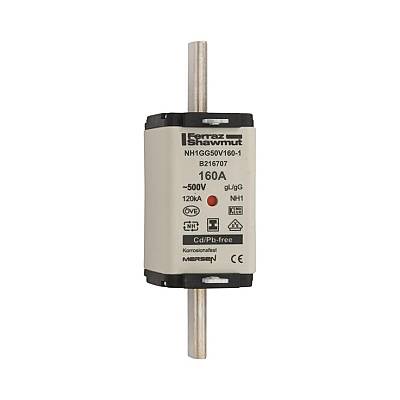 B216707 - NH1GG50V160-1 - 1