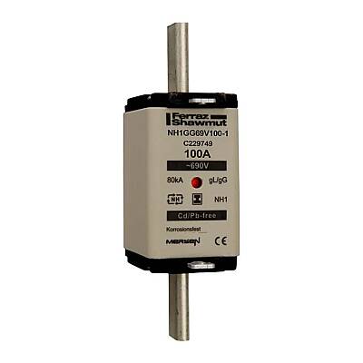 C229749 - NH1GG69V100-1 - 1