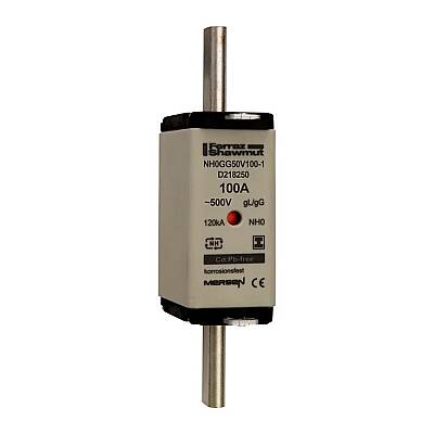 D218250 - NH0GG50V100-1 - 1