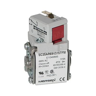 E1046895 - SC30AR69V315TFM - 1
