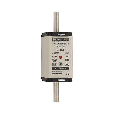 E218251 - NH1GG50V250-1 - 1