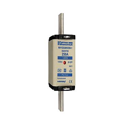 E223725 - NH1GG40V250-1 - 1