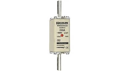 E229613 - NH0GG50V250 - 1