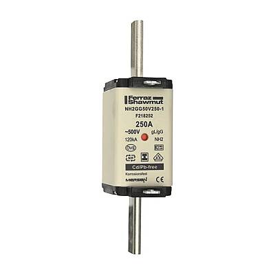 F218252 - NH2GG50V250-1 - 1