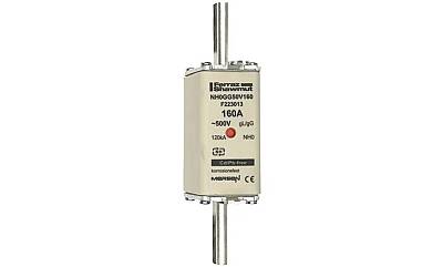 F223013 - NH0GG50V160 - 1