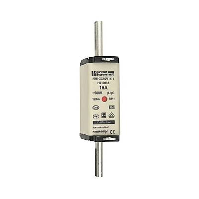 H219818 - NH1GG50V16-1 - 1