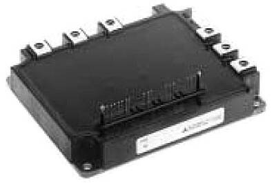 PM300CSE060 - 1