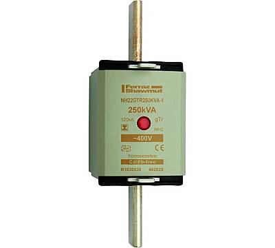 R1030530 - NH22GTR250KVA-1 - 1