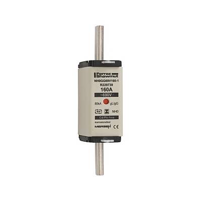 R229739 - NH0GG69V160-1 - 1