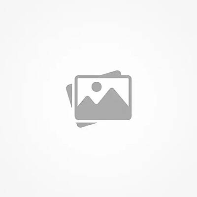 T1014570 - FR10GR69V2.5 - 1